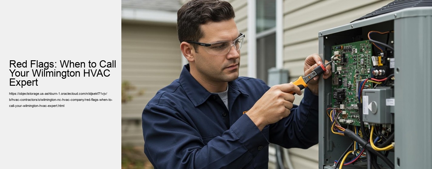 Red Flags: When to Call Your Wilmington HVAC Expert