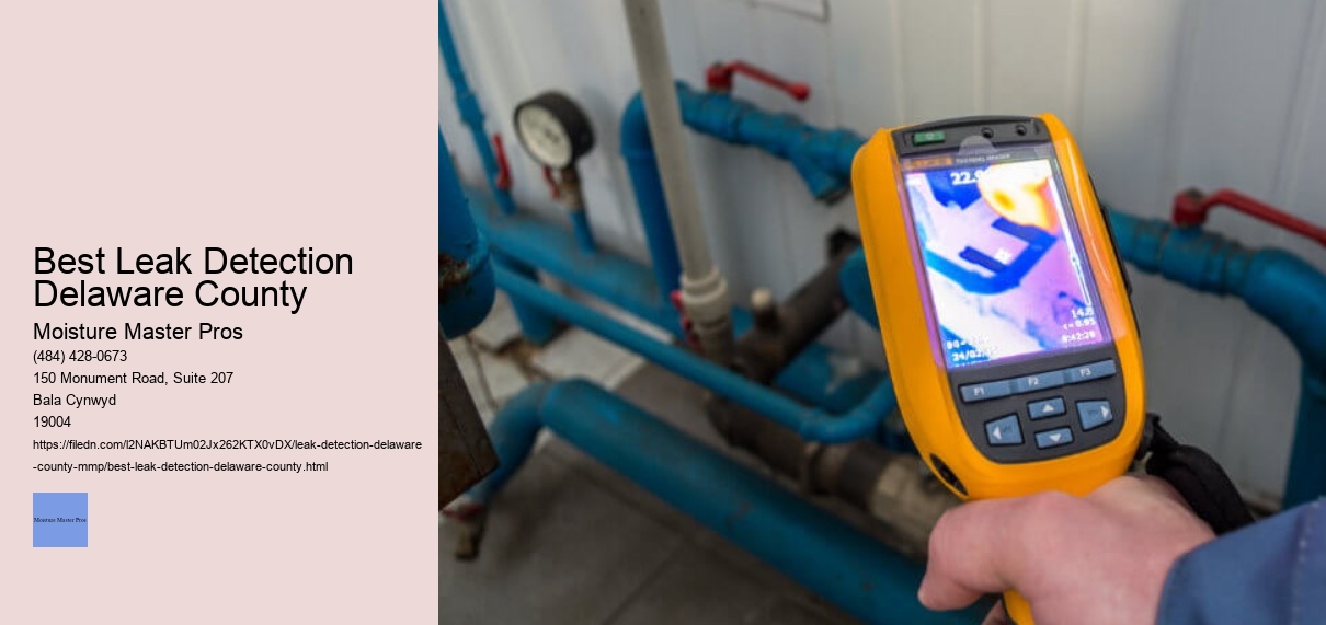 Best Leak Detection Delaware County