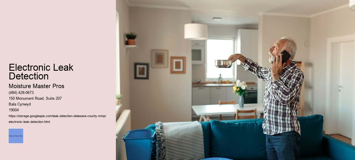 Electronic Leak Detection