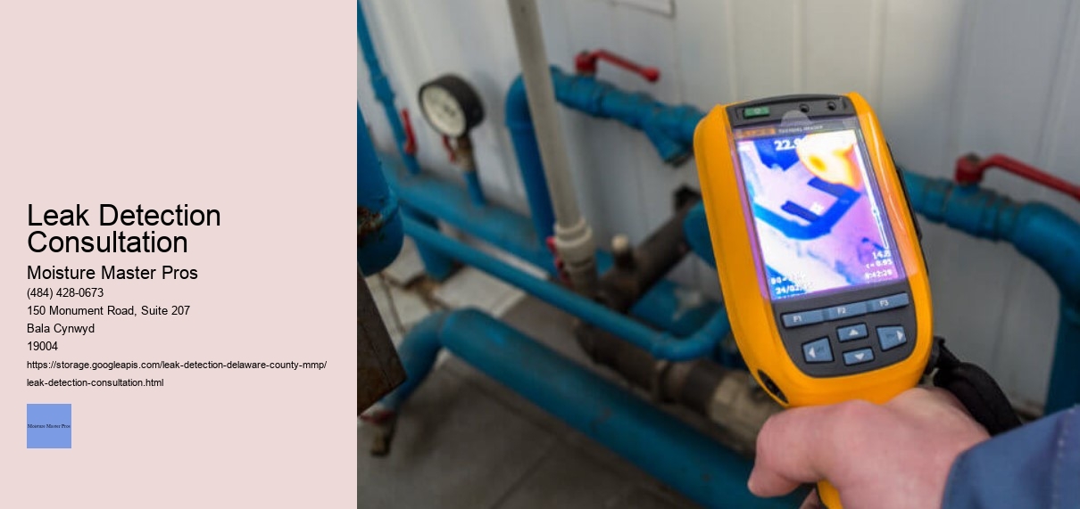 Leak Detection Consultation