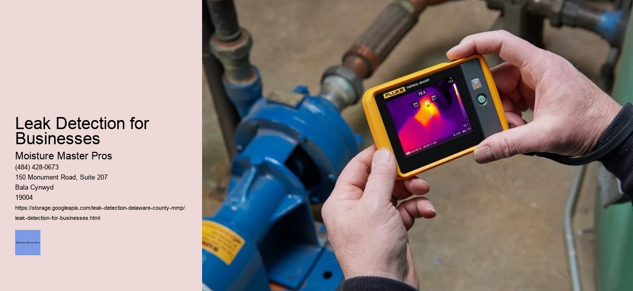 Leak Detection for Businesses