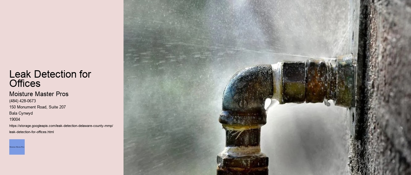 Leak Detection for Offices