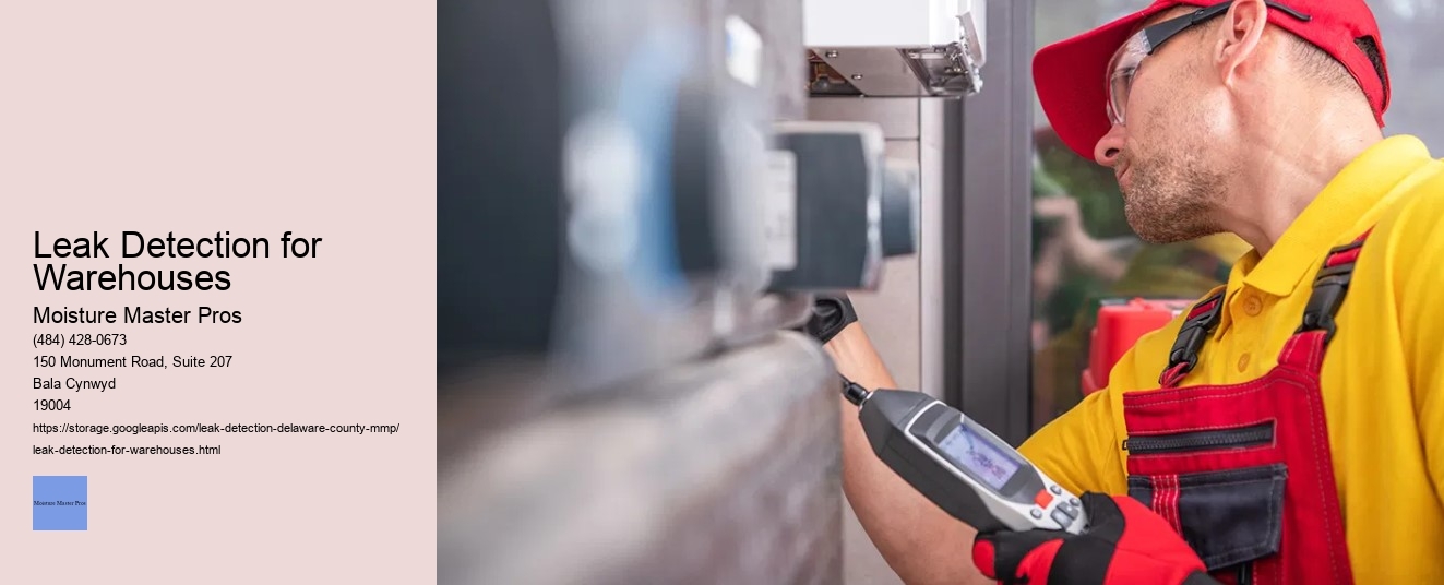 Leak Detection for Warehouses