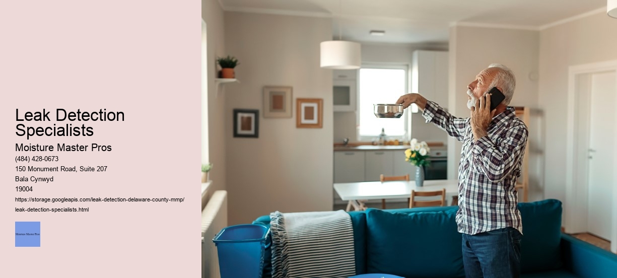 Leak Detection Specialists