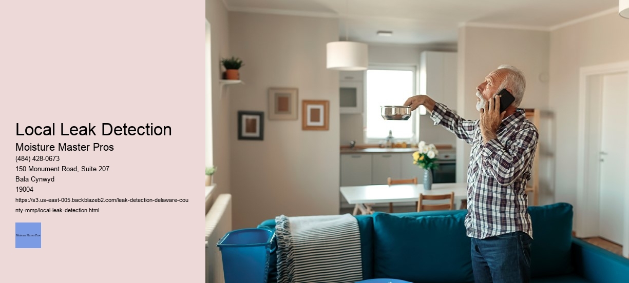 Local Leak Detection 