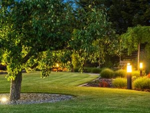 Commercial Landscape Lighting Installation San Antonio Astoria Lighting Co - San Antonio Commercial Landscape Lighting Installation San Antonio