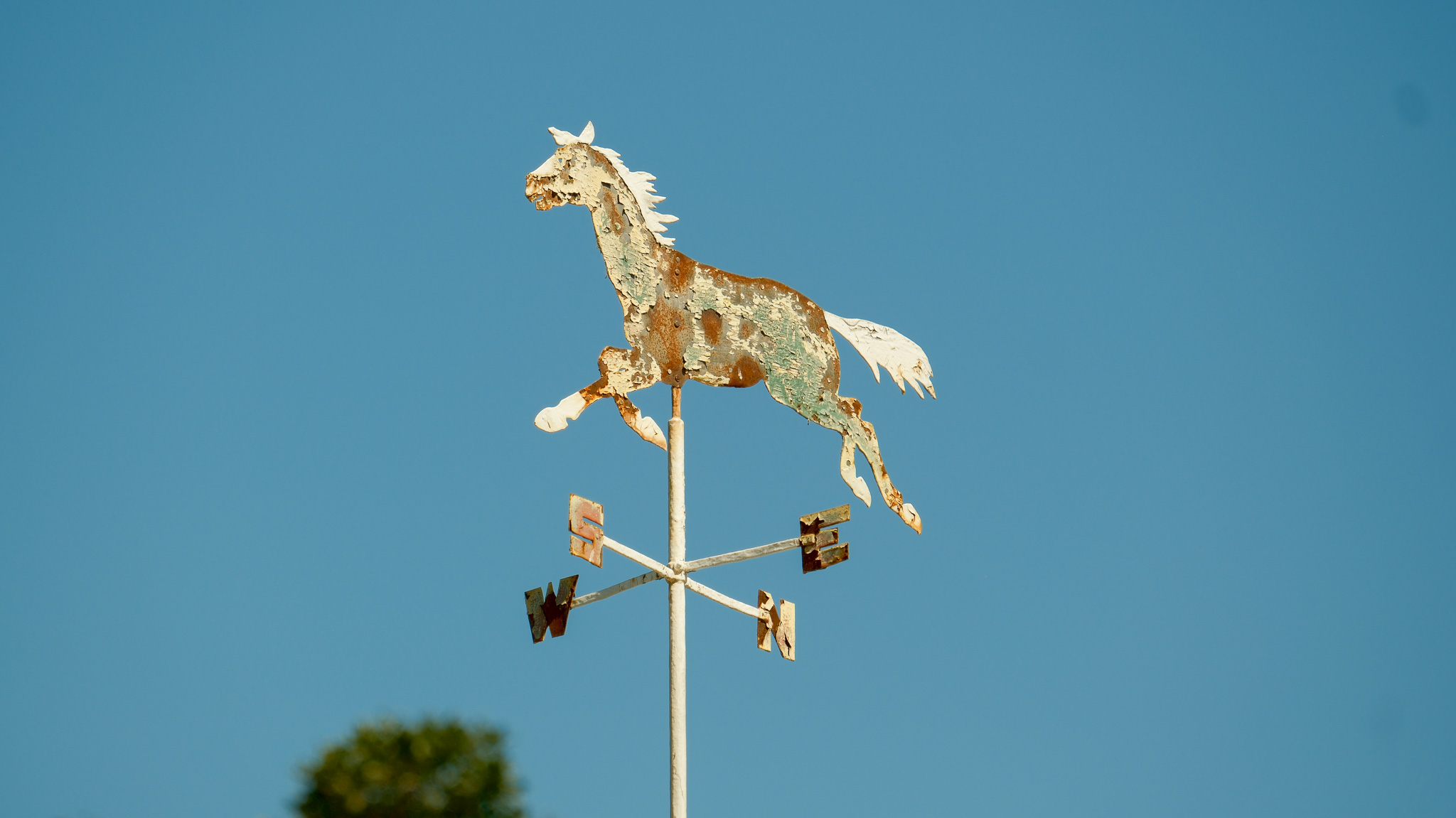Image of a horse wind compass with the sky as the background.