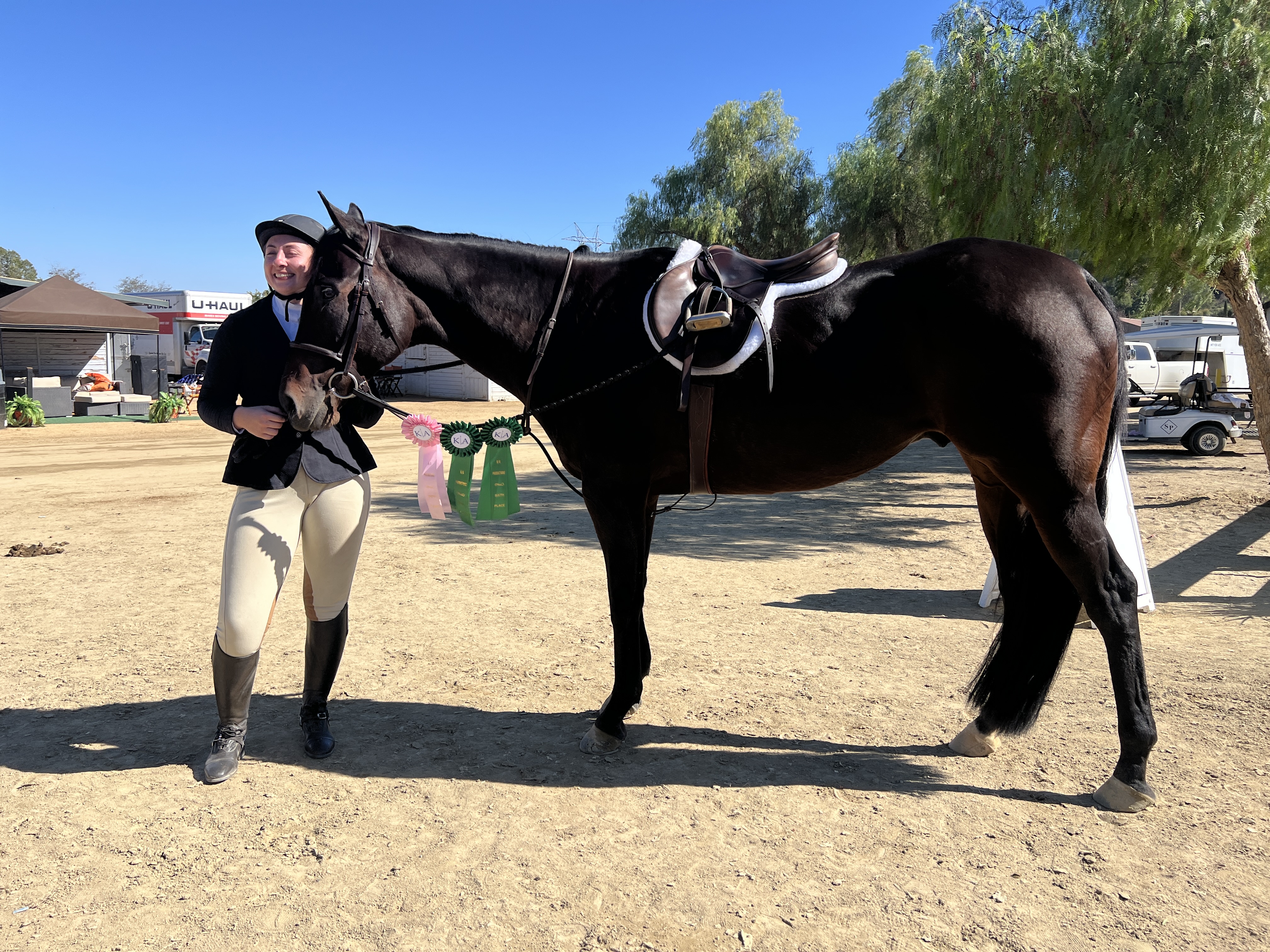 https://s3.us-east-005.backblazeb2.com/lincourt-stables/hershey_at_show_1779406369313_1779406369317.jpg?2026-05-21T23:35:36.901Z