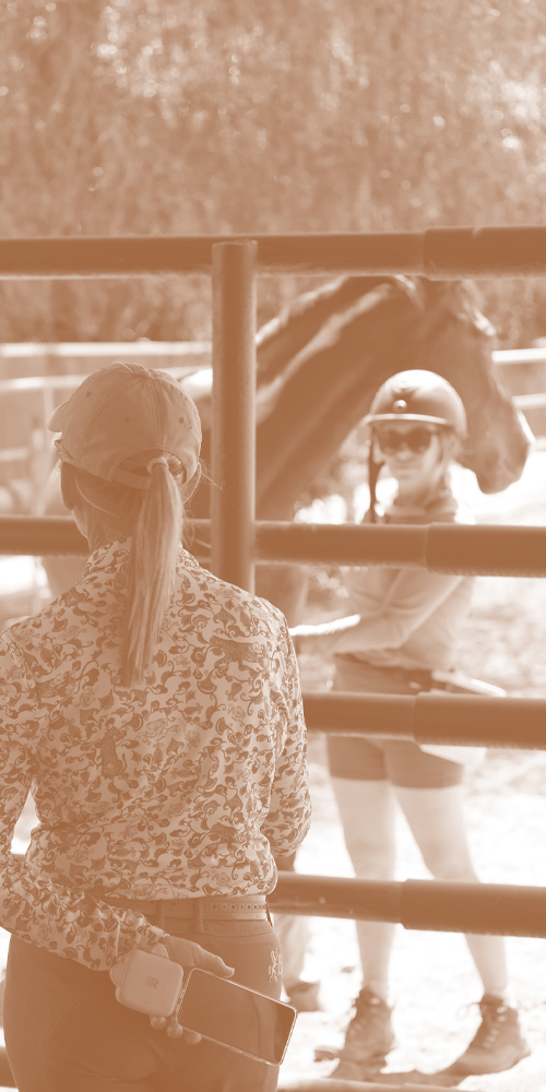 Image of a woman in a pony tail looking at a horse trainer inside of a pen with a horse next to her.