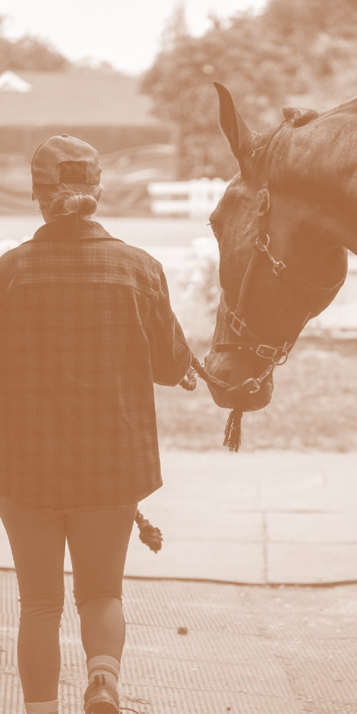 Image of a woman leading a horse out of their stable.