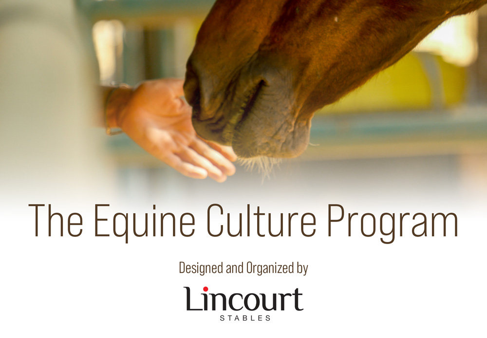 Image of person reaching their hand out through a fence and a brown horse reaching out with their nose to touch the person's hand.