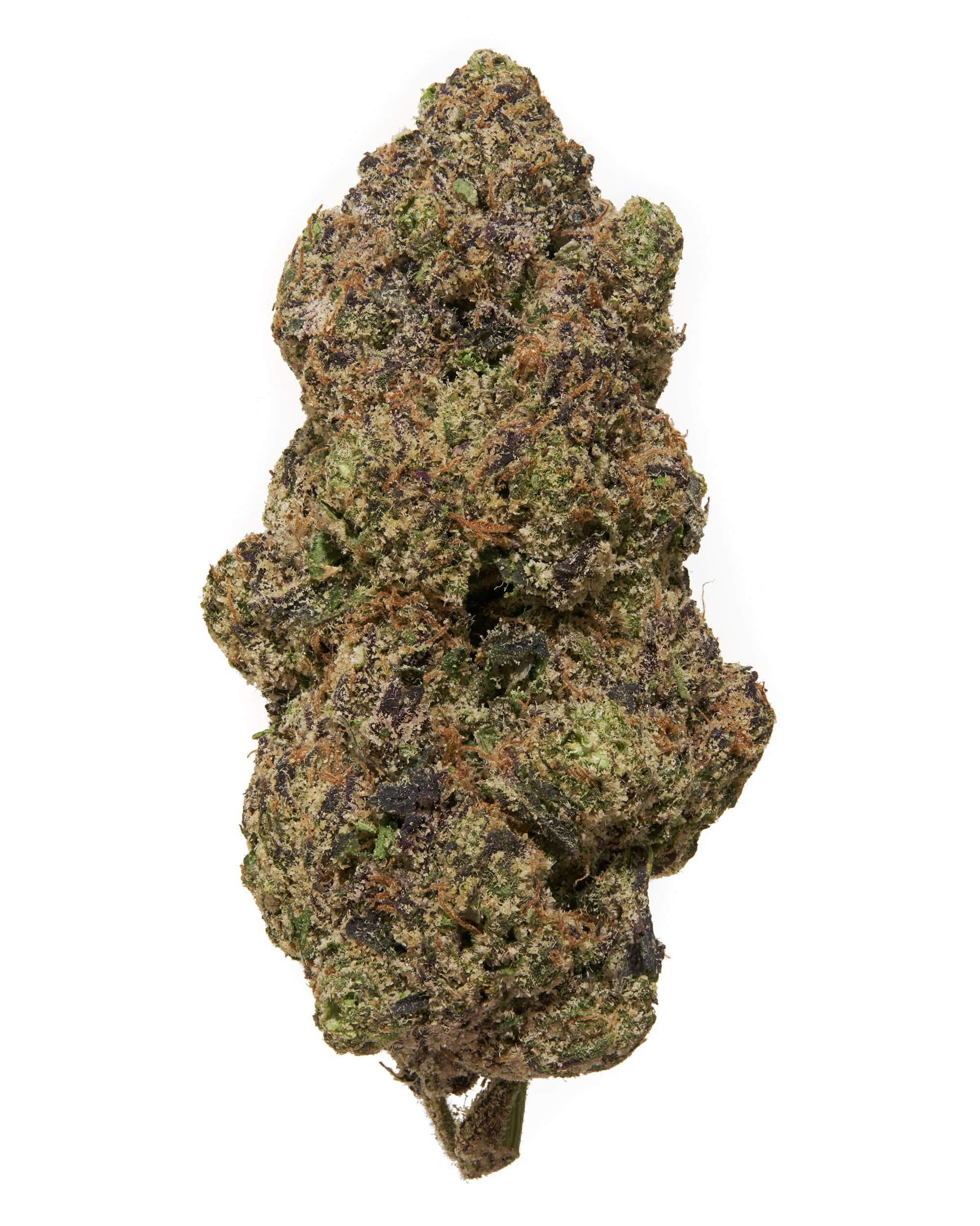 LEMON CHERRY GELATO (INDOOR) THC-A Flower