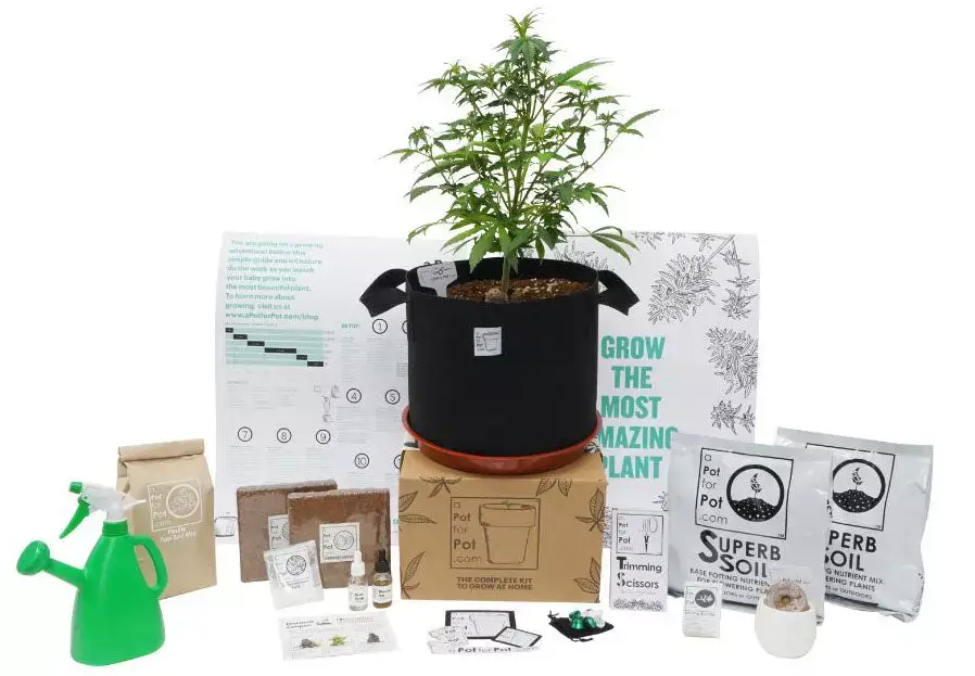 The Medium Complete Grow Kit from Pot in a Pot