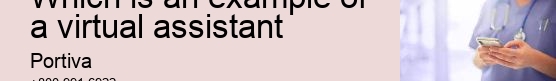 which is an example of a virtual assistant