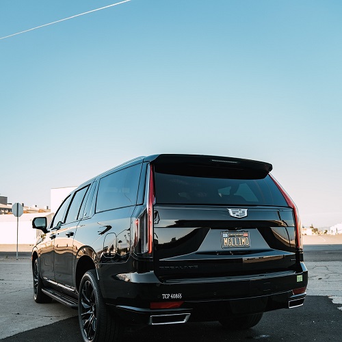 Luxury Vehicle Service