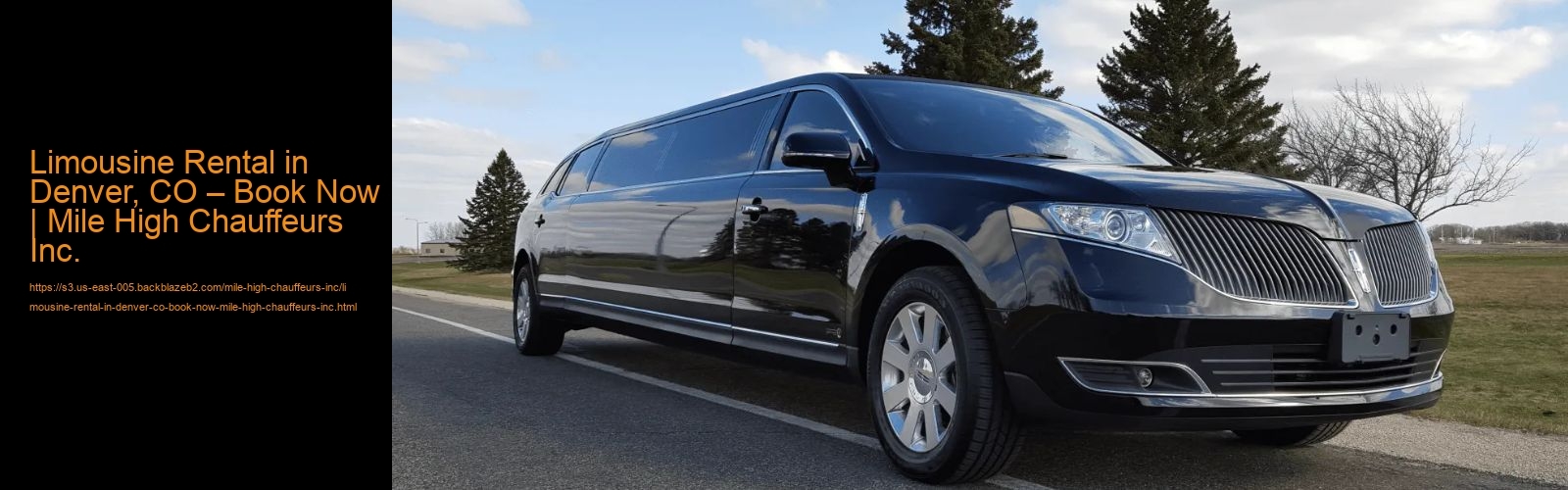 Limousine Rental in Denver, CO – Book Now | Mile High Chauffeurs Inc.