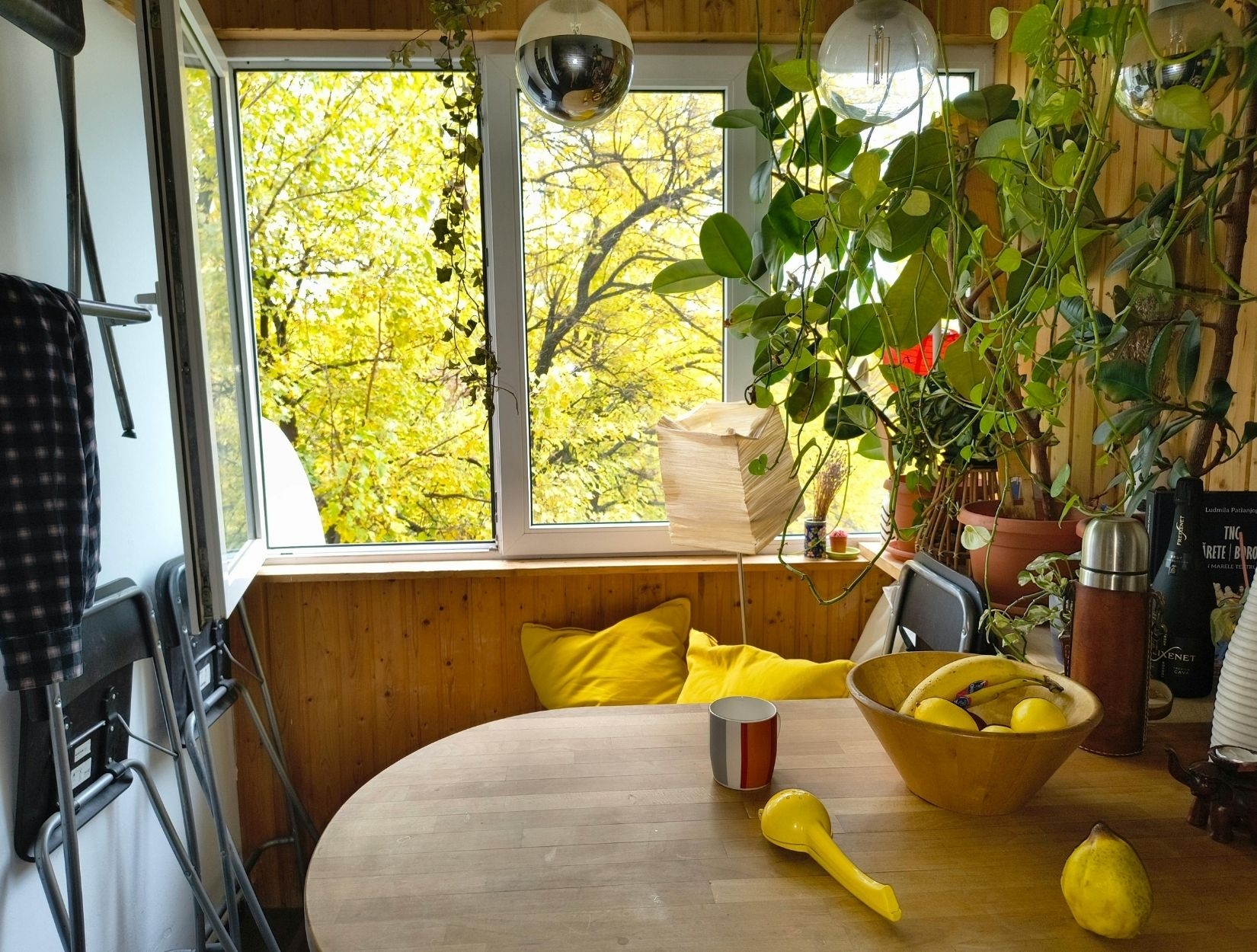 Eco-Friendly Deep Cleaning in Chicago