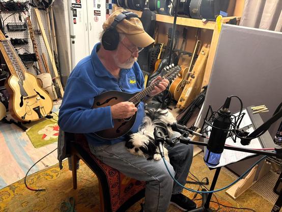 Bearded man in blue sweatshirt and cap sitting in chair playing mandolin with various guitars behind him. A small black and white Japanese Chin dog is lying stretched across his lap. 