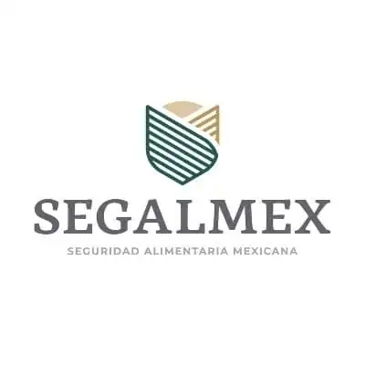 nxnoticias.com-promete-amlo-cero-impunidad-en-desfalco-de-segalmex-sobre-responsabilidad-de-ovalle-dice-que-eso-lo-resolvera-la-autoridad