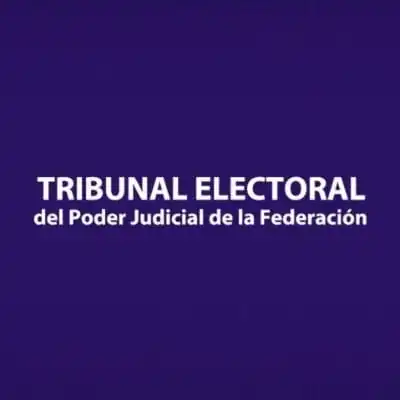 nxnoticias.com-advierte-tepjf-sobre-influencia-del-crimen-en-las-elecciones