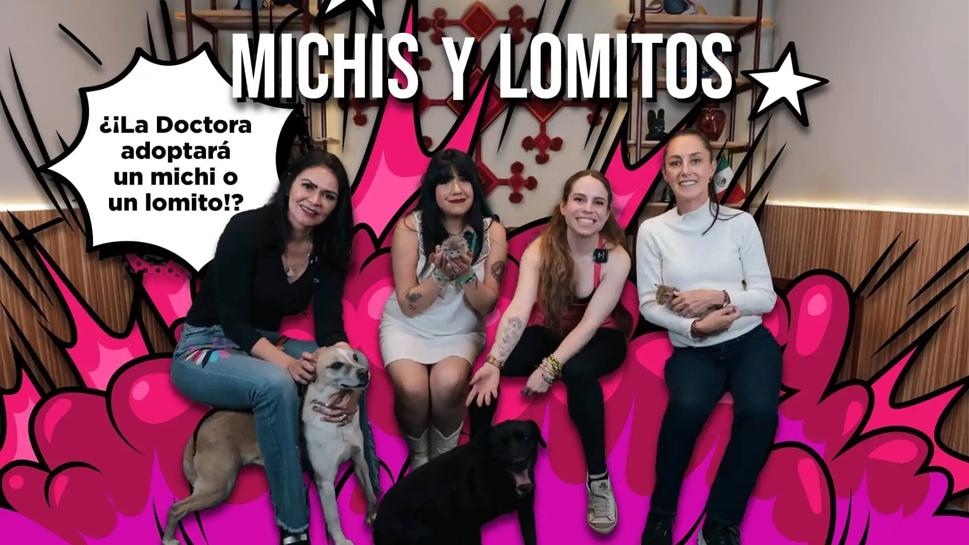 nxnoticias.com-llama-claudia-a-adoptar-y-no-comprar-michis-y-lomitos