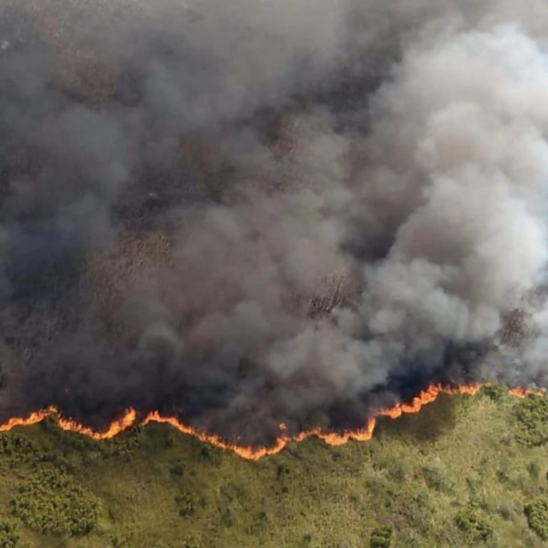 nxnoticias.com-pide-pri-en-el-senado-informe-sobre-acciones-para-prevenir-incendios-forestales