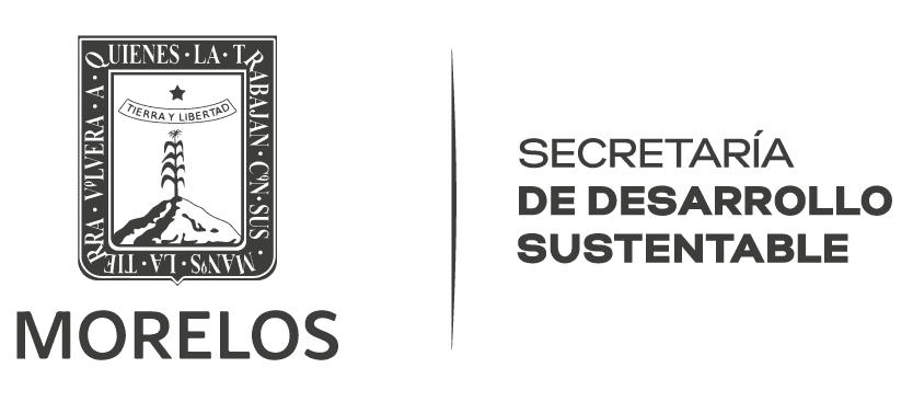 nxnoticias.com-audio-revela-supuesto-apoyo-de-la-secretaria-de-desarrollo-sustentable-de-morelos-a-candidata-del-pan-pri-prd