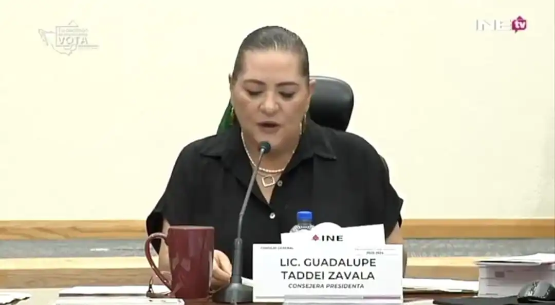 nxnoticias.com-llama-taddei-a-xochitl-y-a-organizaciones-a-no-usar-el-color-rosa-en-marcha-del-domingo