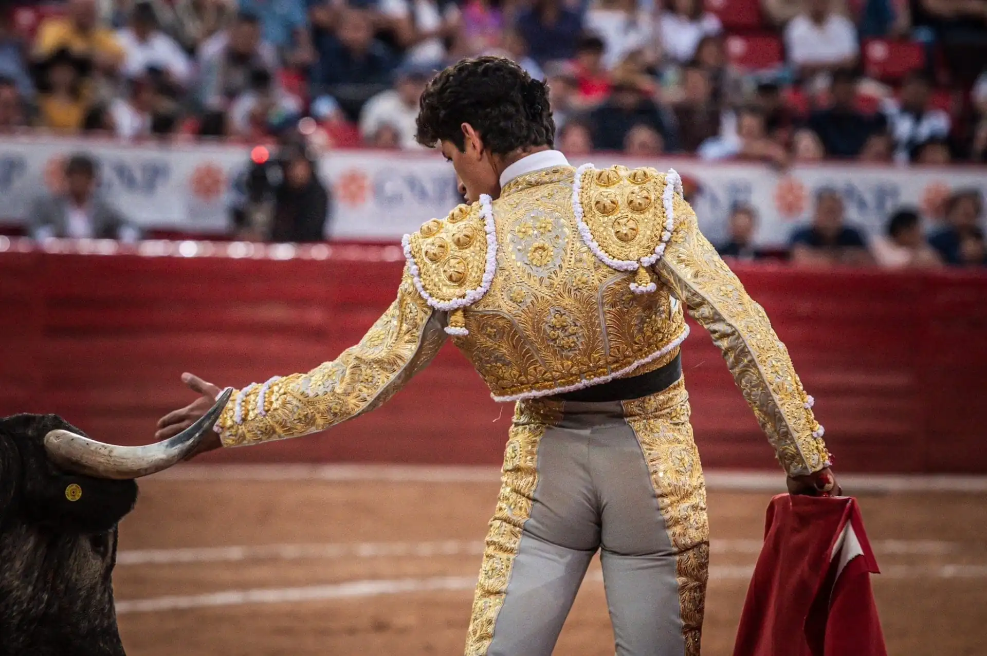 nxnoticias.com-suspenden-otra-vez-corridas-de-toros-en-cdmx