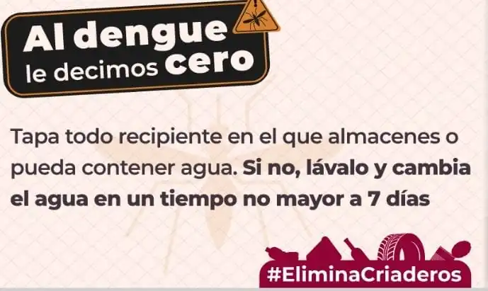 nxnoticias.com-se-disparan-en-mas-de-200-casos-de-dengue-en-mexico