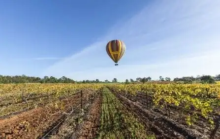nxnoticias.com-tecnologia-como-catalizador-para-el-turismo-rural