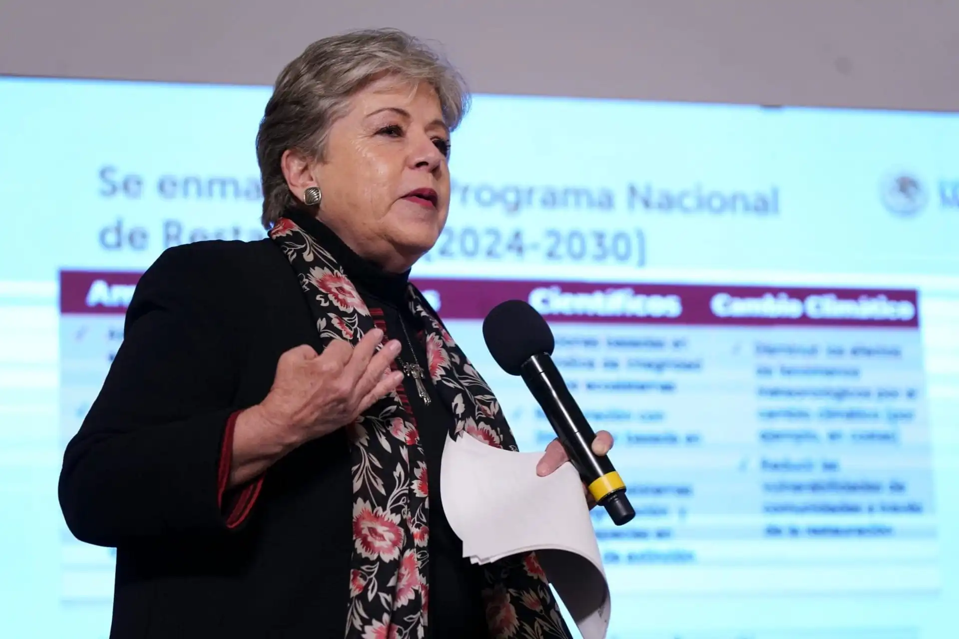 nxnoticias.com-semarnat-restaurara-el-area-natural-protegida-que-fue-danada-por-la-empresa-calica