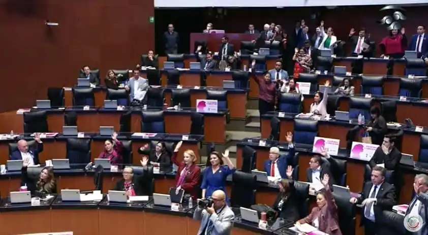 nxnoticias.com-senado-aprobo-reformas-a-la-constitucion-en-materia-de-areas-y-empresas-estrategicas