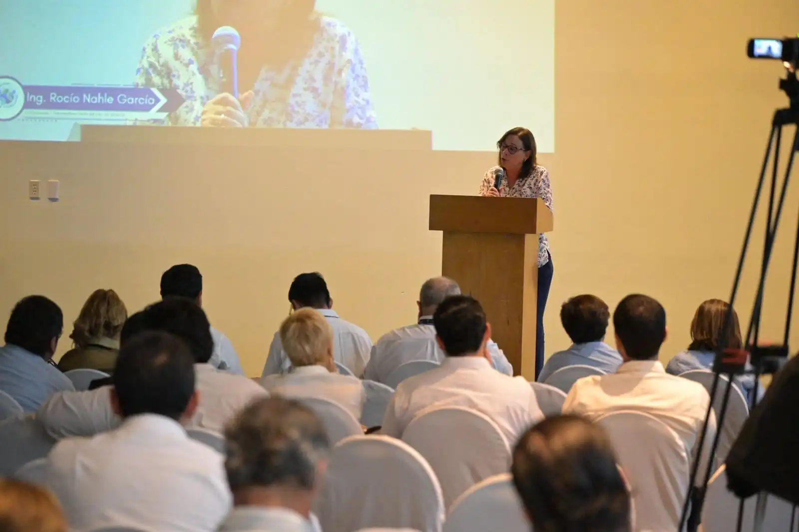 nxnoticias.com-vamos-a-impulsar-el-sureste-y-la-transformacion-industrial-rocio-nahle
