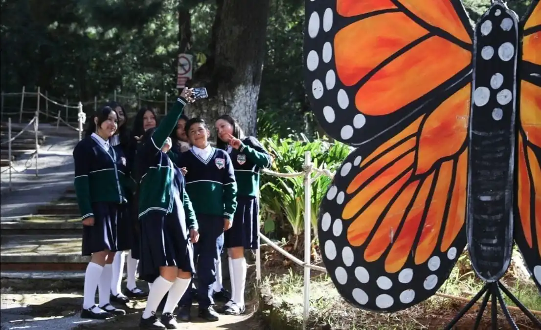 nxnoticias.com-santuarios-de-la-mariposa-monarca-listos-para-recibir-a-los-visitantes