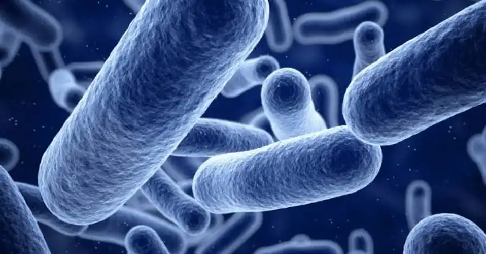 nxnoticias.com-salud-mantiene-acciones-contundentes-para-controlar-brote-de-klebsiella-oxytoca