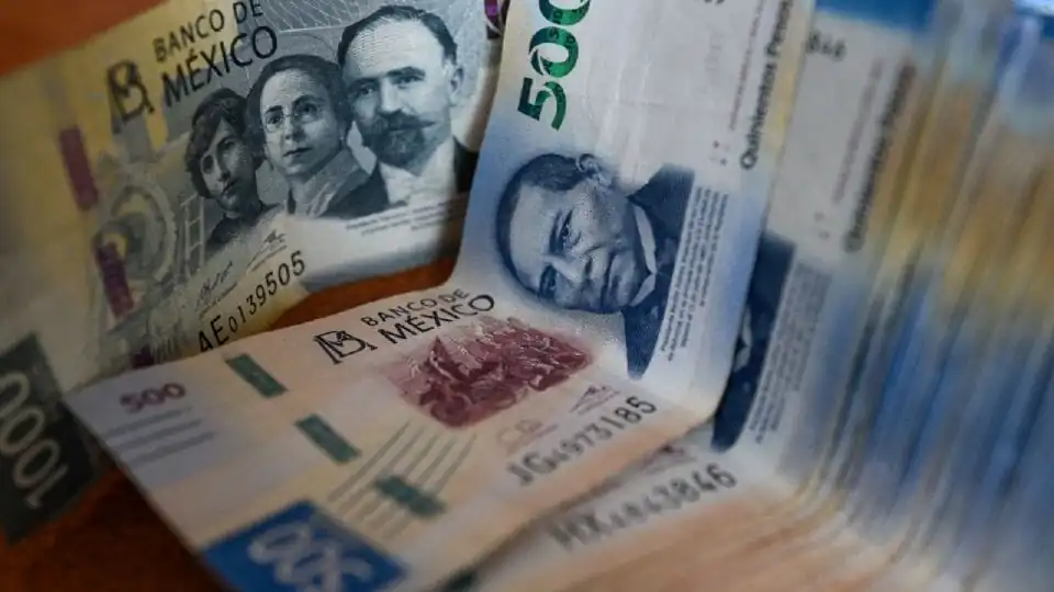 nxnoticias.com-pib-de-mexico-sube-1-2-por-ciento-en-2024-inegi