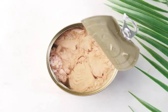 nxnoticias.com-retiran-latas-de-atun-del-mercado-de-eu-por-botulismo