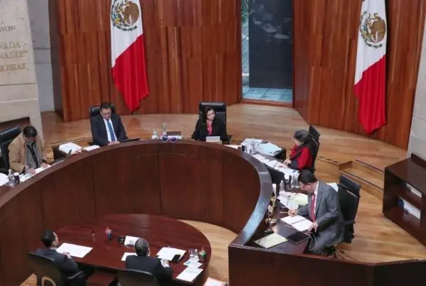 nxnoticias.com-tepjf-aprueba-boletas-para-eleccion-de-cargos-del-poder-judicial