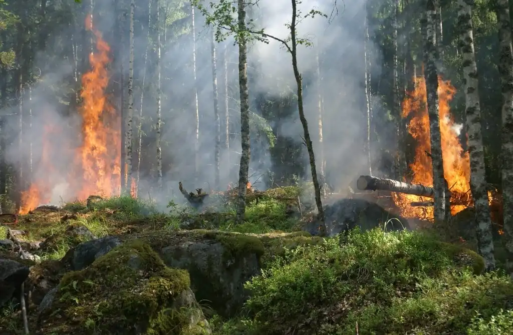 nxnoticias.com-alerta-por-alto-riesgo-de-incendios-forestales-en-nueve-estados-de-mexico
