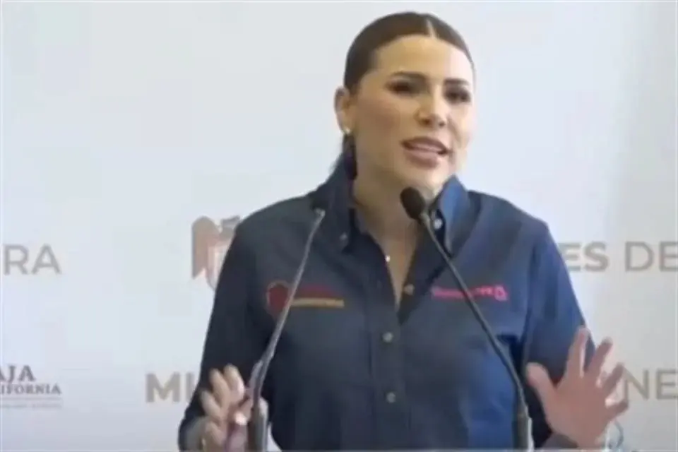 nxnoticias.com-borrador-automatico