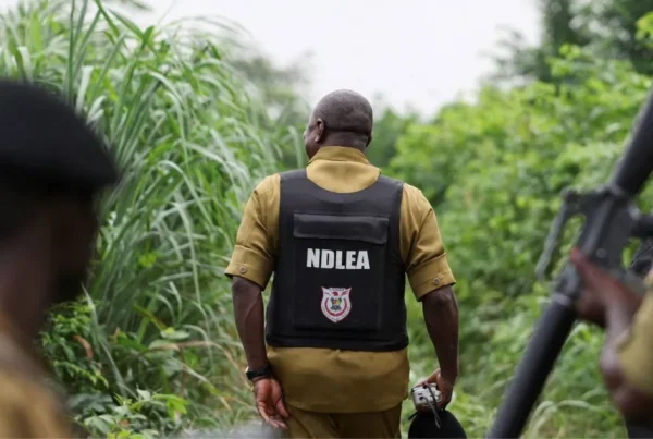 Cárteles mexicanos tienen presencia en Nigeria.