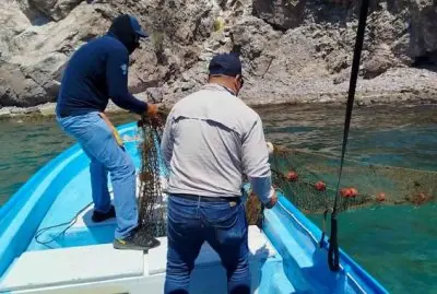 Conapesca asegura producto pesquero ilegal.