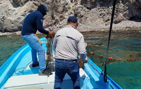 Conapesca asegura producto pesquero ilegal.