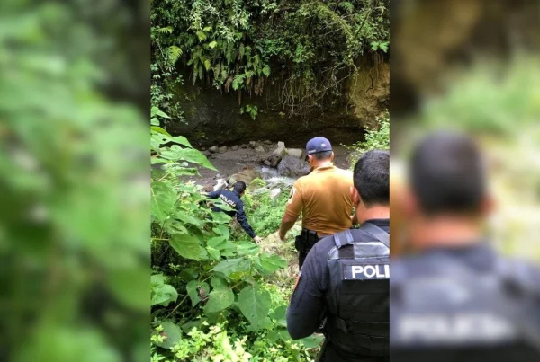 Jaguar en Ixtapan de la Sal, Estado de México.