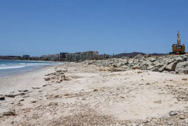 SEMARNAT frena desarrollo en Playa Las Cocinas.