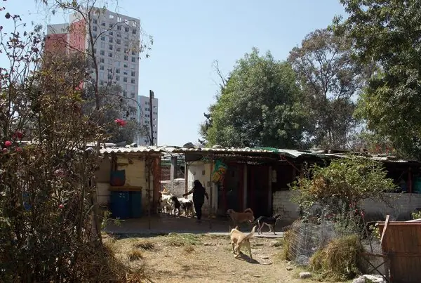 Refugio Franciscano en Cuajimalpa.