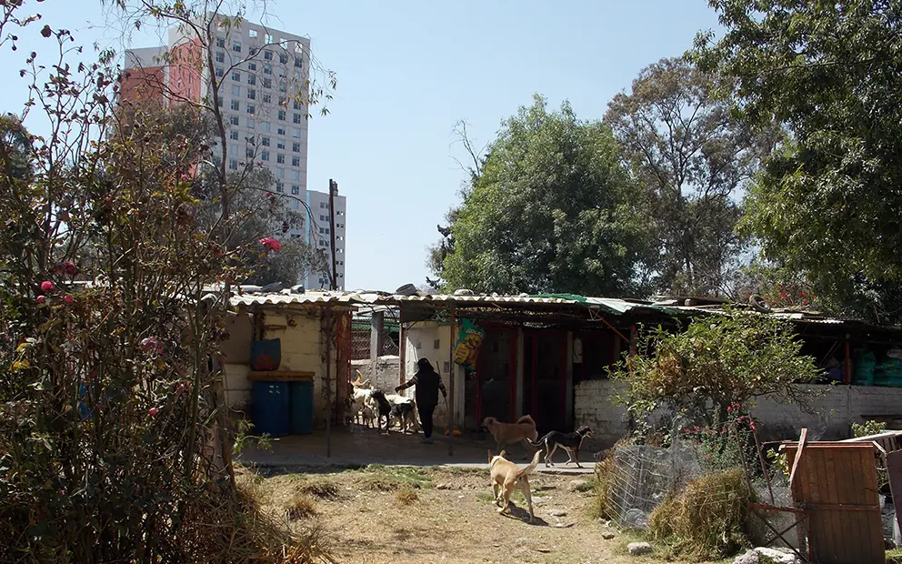 Refugio Franciscano en Cuajimalpa.
