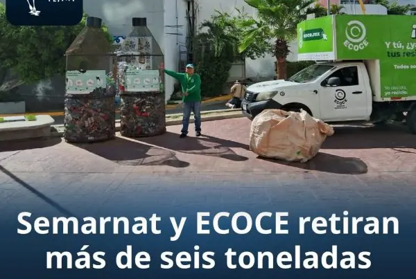 Semarnat y Ecoce limpian playas de México.