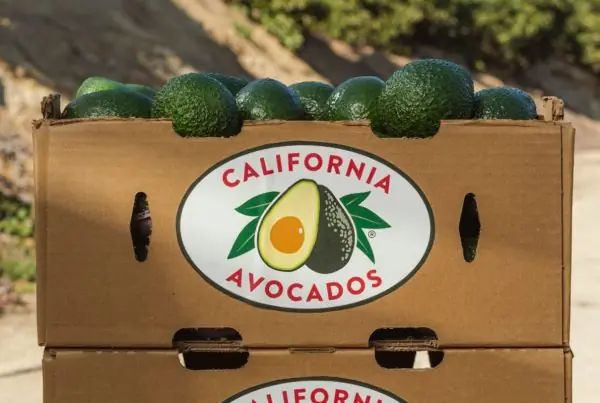Productores de California piden aranceles al aguacate mexicano.